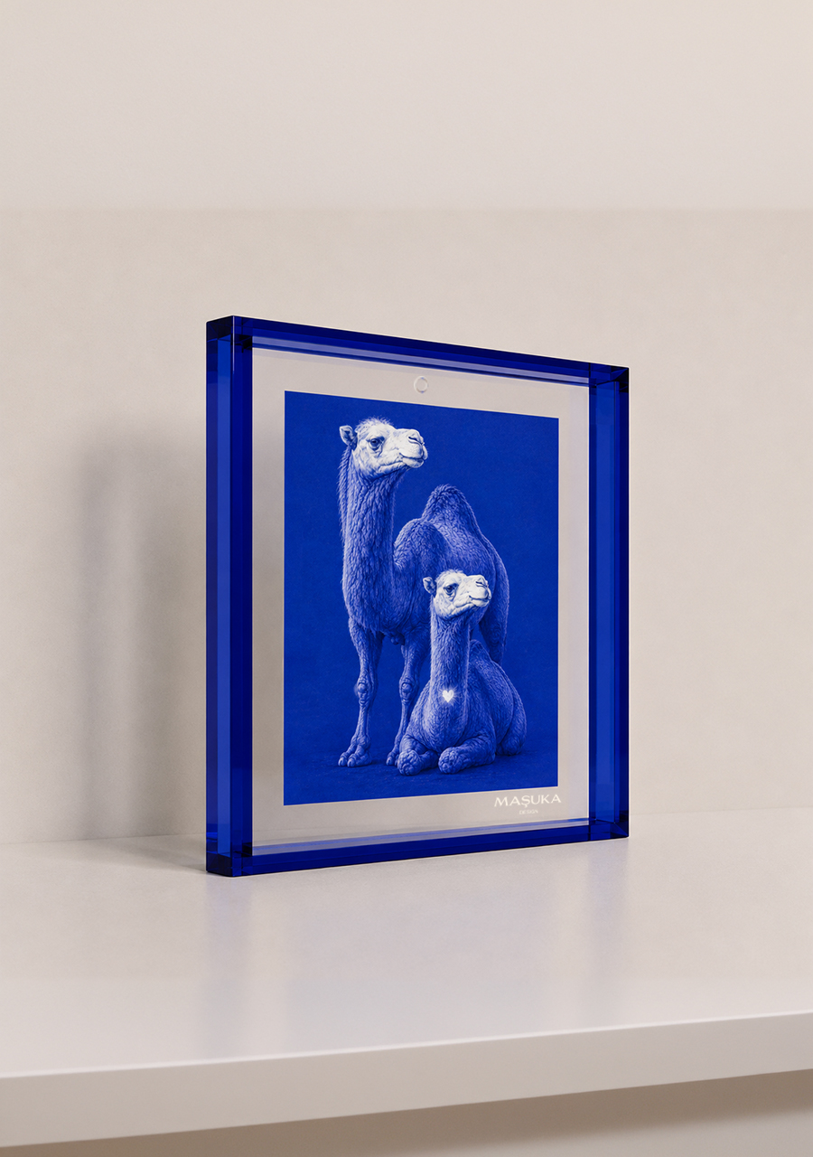 Soulmates Collection – The Transparency of Relationships